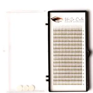Pre-Made Fan Lashes 3D
